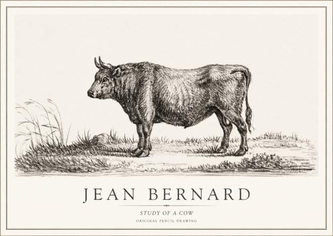 Jean Bernard Study of a Cow XIII No1 - Affiche