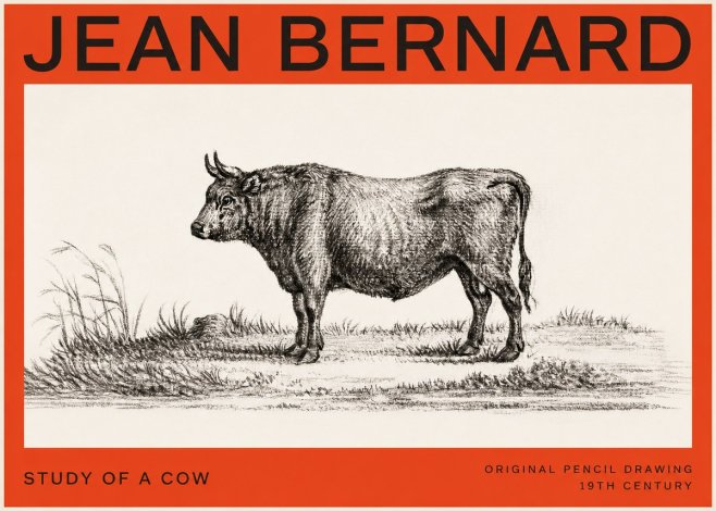 Jean Bernard Study of a Cow XIII No4 - Affiche