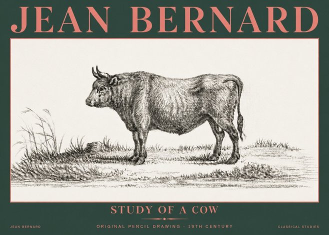 Jean Bernard Study of a Cow XIII No5 - Affiche