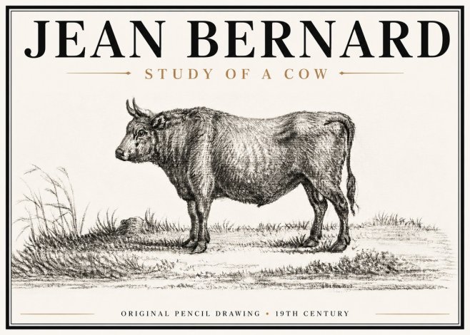 Jean Bernard Study of a Cow XIII No6 - Affiche