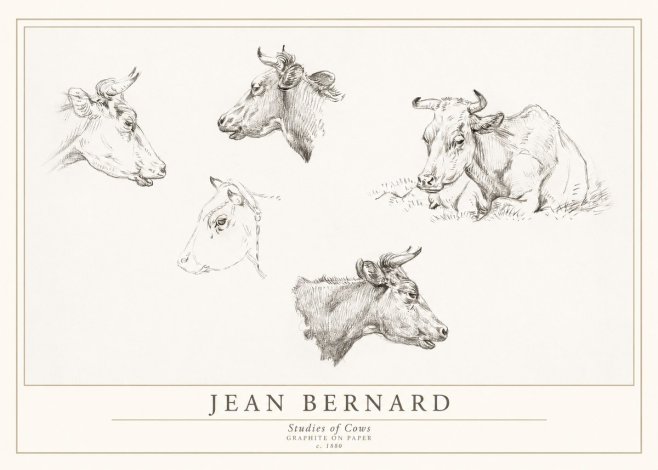 Jean Bernard Studies of Cows I No1 - Affiche