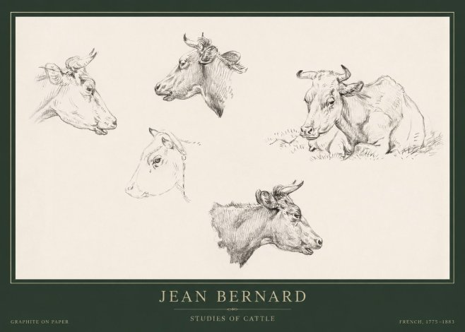 Jean Bernard Studies of Cows I No5 - Affiche