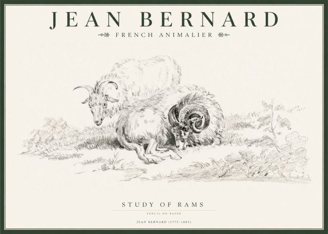 Jean Bernard Study of Sheep No2 - Affiche