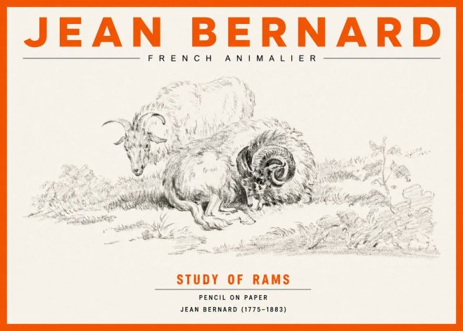 Jean Bernard Study of Sheep No3 - Affiche