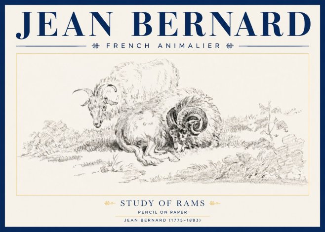 Jean Bernard Study of Sheep No4 - Affiche