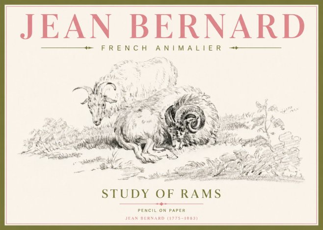 Jean Bernard Study of Sheep No5 - Affiche
