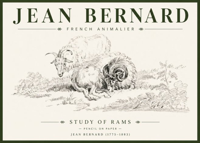Jean Bernard Study of Sheep No6 - Affiche