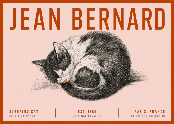 Jean Bernard Sleeping Cat VIII No5 - Affiche