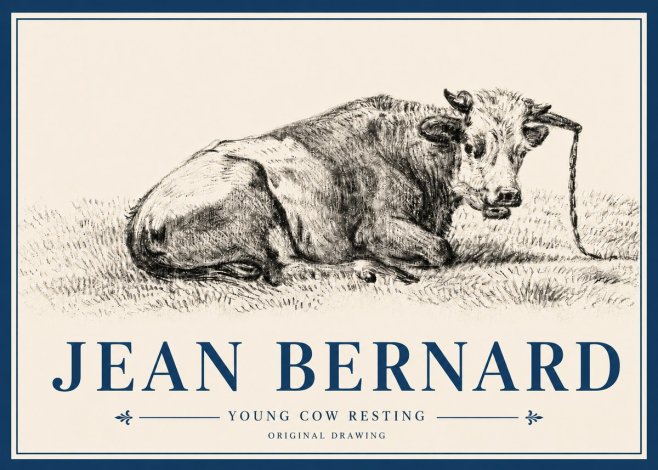 Jean Bernard Young Cow Resting No4 - Affiche