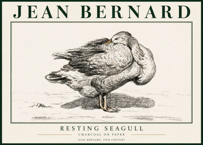 Jean Bernard Resting Seagull No3 - Affiche