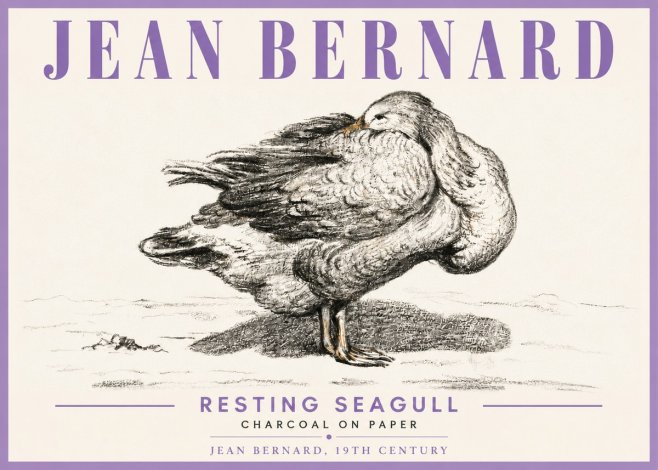 Jean Bernard Resting Seagull No6 - Affiche