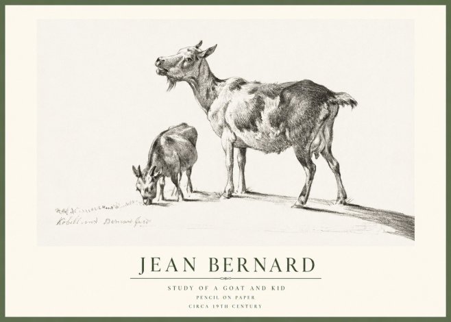 Jean Bernard Study of a Goat and Kid No1 - Affiche