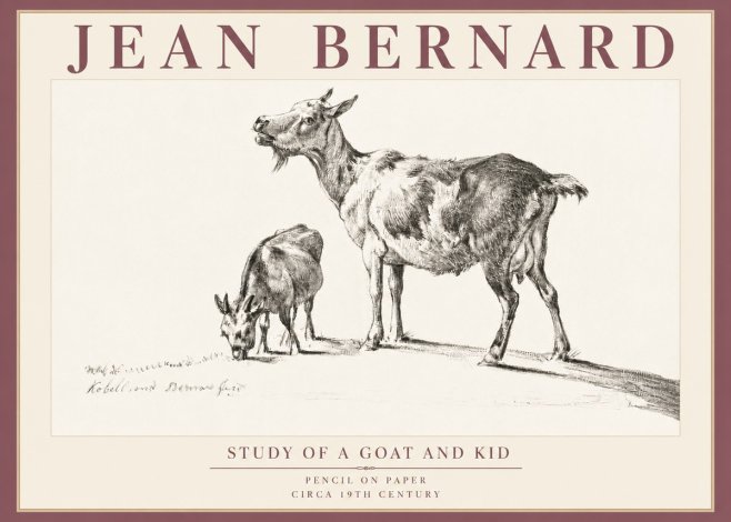 Jean Bernard Study of a Goat and Kid No5 - Affiche