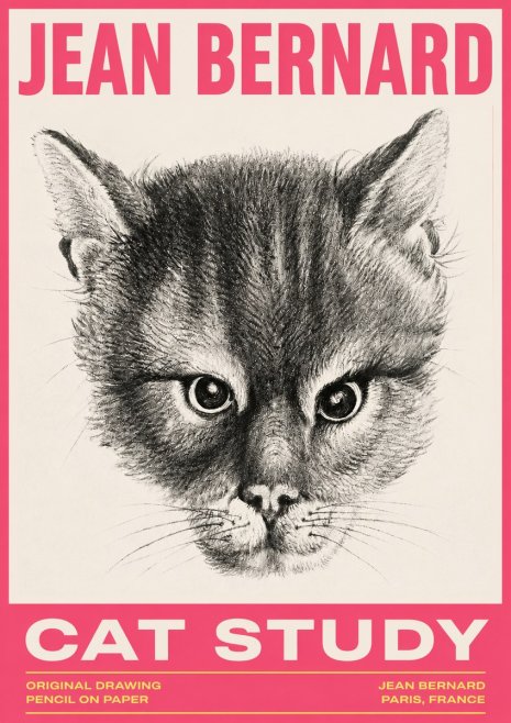 Jean Bernard Cat Study. Original Drawing No3 - Affiche