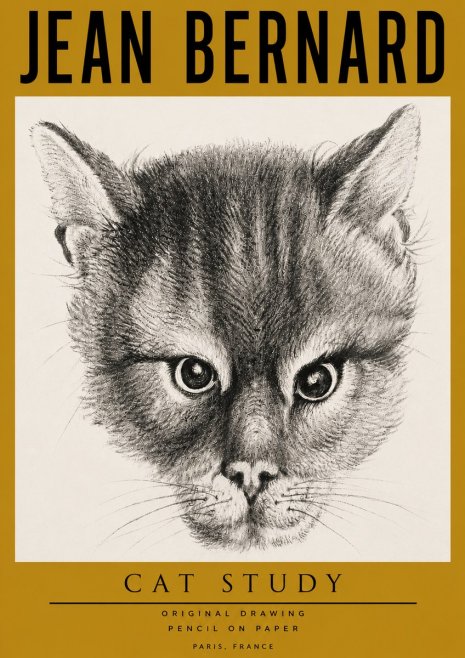 Jean Bernard Cat Study. Original Drawing No4 - Affiche