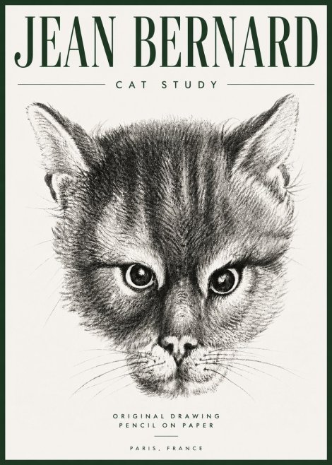 Jean Bernard Cat Study. Original Drawing No5 - Affiche