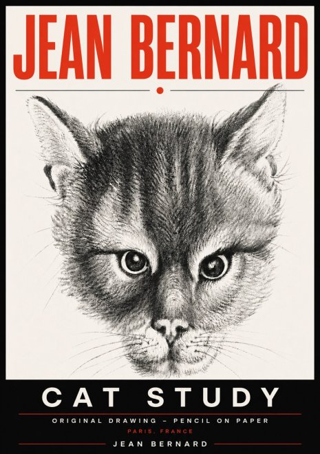 Jean Bernard Cat Study. Original Drawing No6 - Affiche