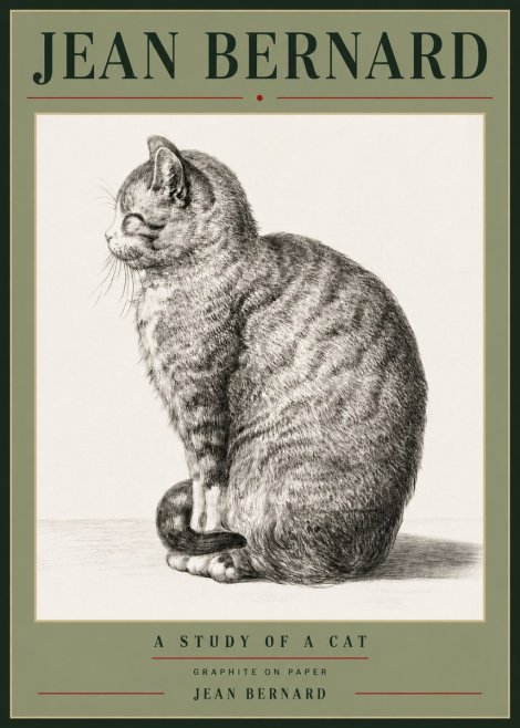 Jean Bernard Cat in Profile No6 - Affiche