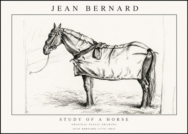 Jean Bernard Study of a Horse XI No1 - Affiche