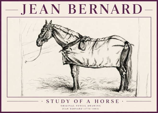 Jean Bernard Study of a Horse XI No4 - Affiche