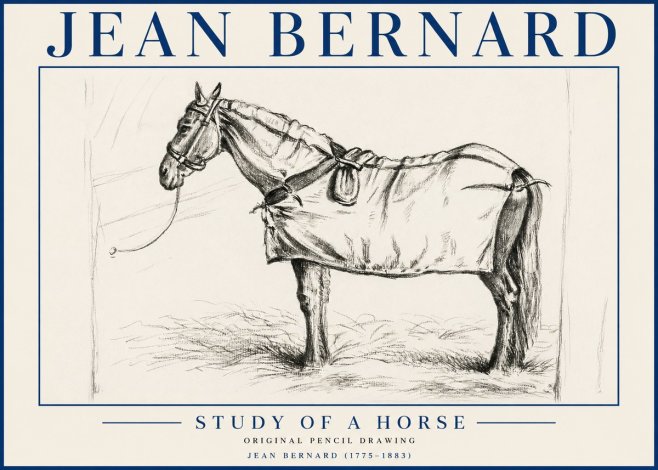 Jean Bernard Study of a Horse XI No5 - Affiche