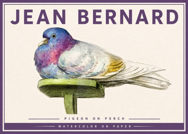 Jean Bernard Pigeon on Perch No4 - Affiche