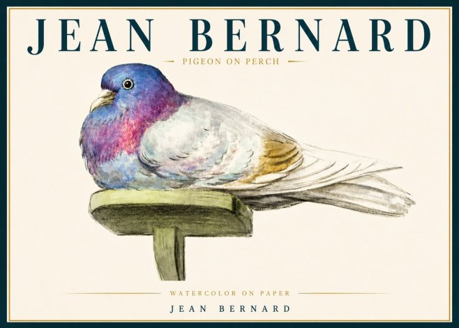 Jean Bernard Pigeon on Perch No5 - Affiche