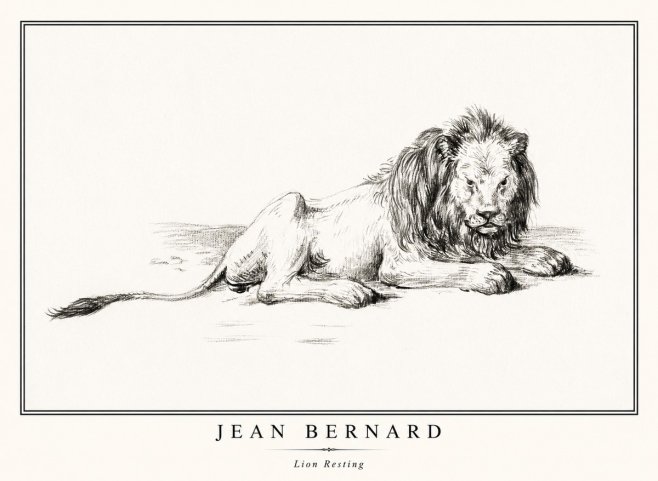 Jean Bernard Lion Resting No1 - Affiche