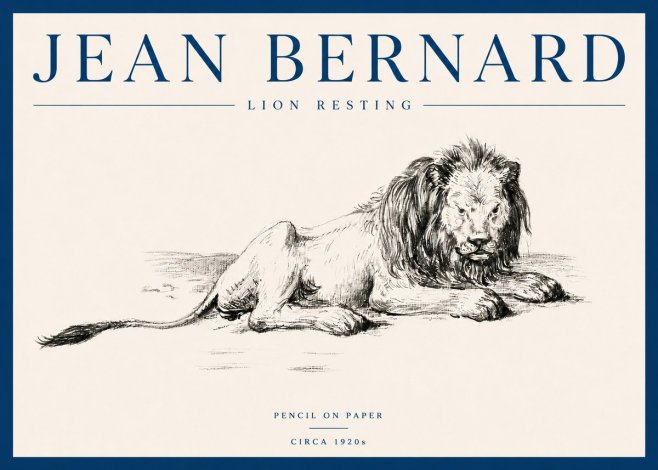 Jean Bernard Lion Resting No5 - Affiche
