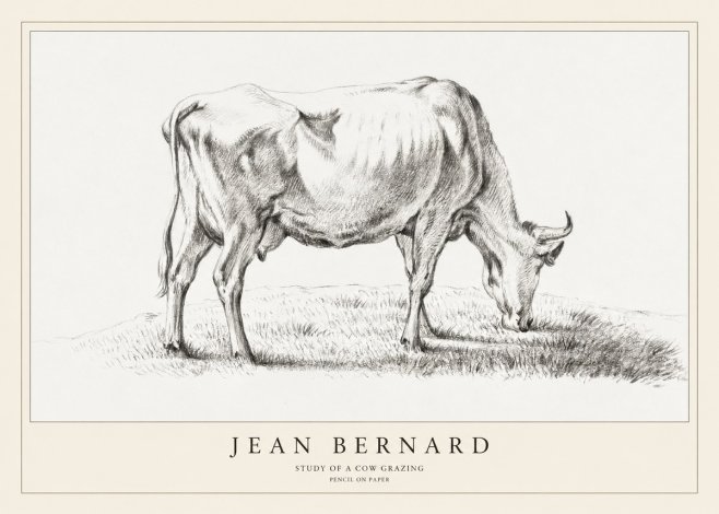 Jean Bernard Study of a Cow Grazing II No1 - Affiche