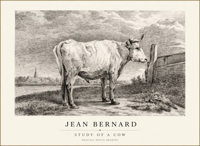 Jean Bernard Study of a Cow XV No1 - Affiche