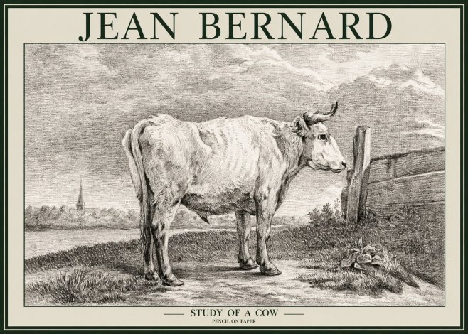 Jean Bernard Study of a Cow XV No2 - Affiche