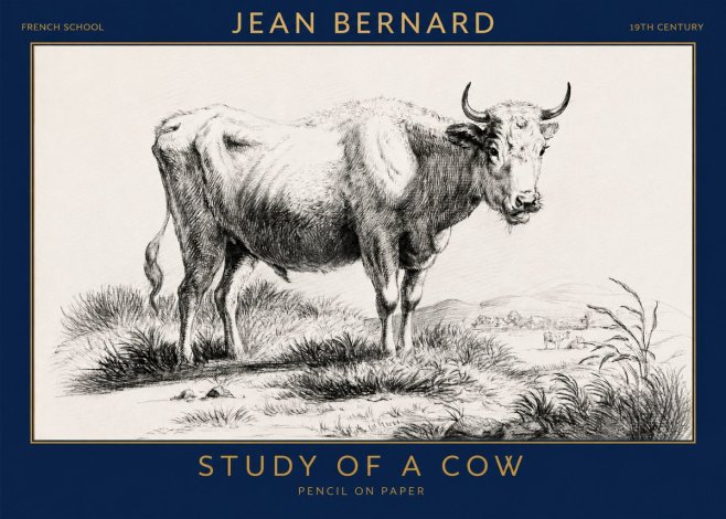 Jean Bernard Study of a Cow XVI No3 - Affiche