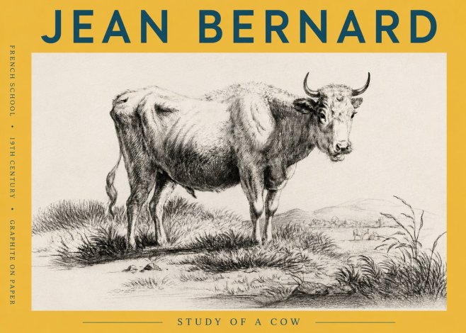 Jean Bernard Study of a Cow XVI No6 - Affiche