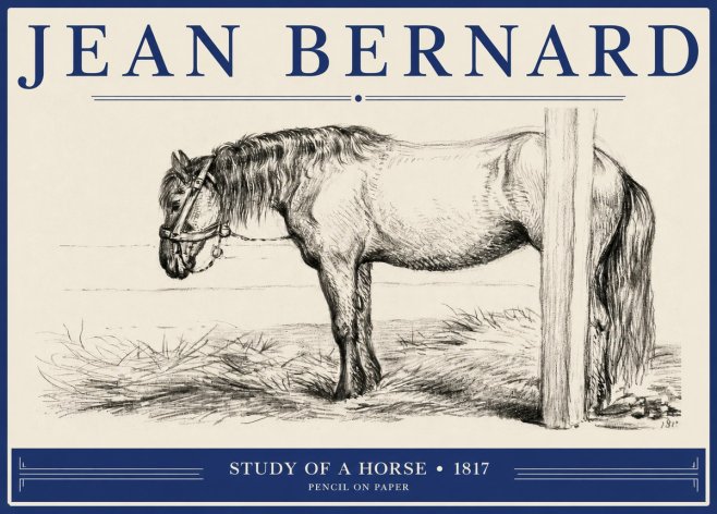 Jean Bernard Study of a Horse XII No2 - Affiche