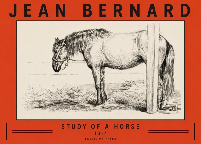 Jean Bernard Study of a Horse XII No3 - Affiche