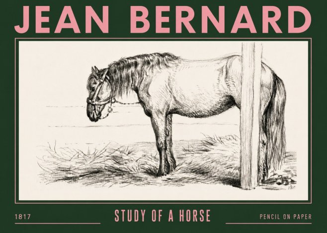 Jean Bernard Study of a Horse XII No4 - Affiche