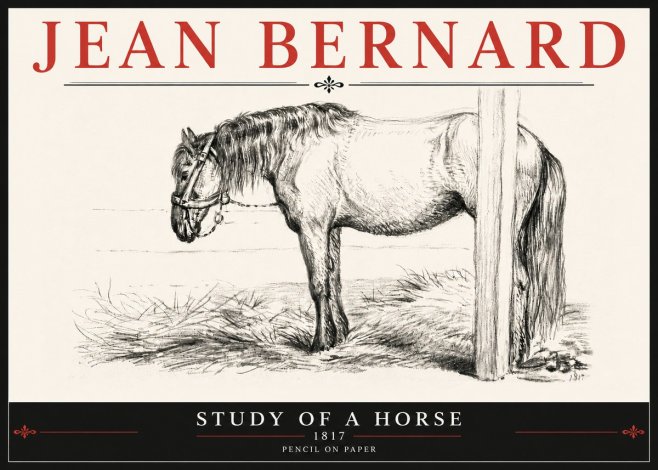 Jean Bernard Study of a Horse XII No6 - Affiche