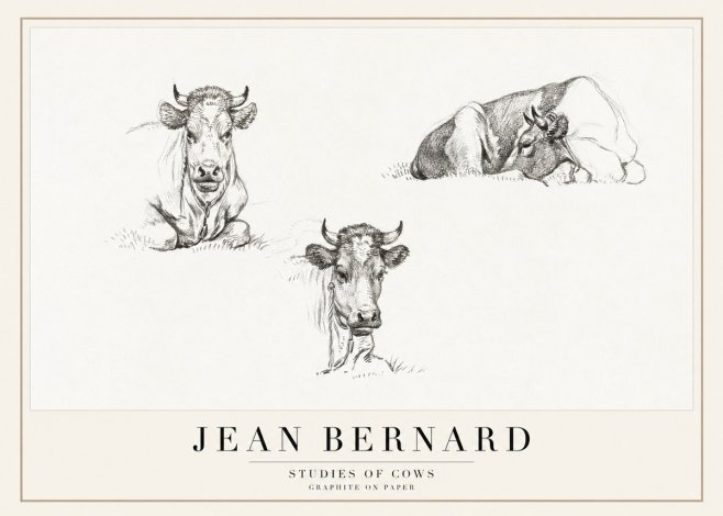 Jean Bernard Studies of Cows II No1 - Affiche