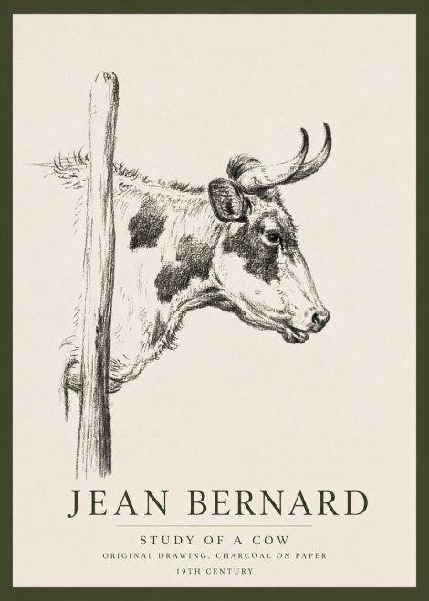 Jean Bernard Study of a Cow XVII No3 - Affiche