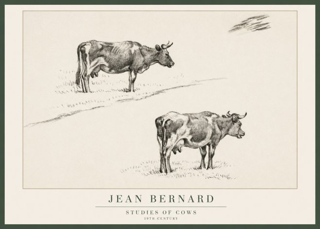 Jean Bernard Studies of Cows III No1 - Affiche