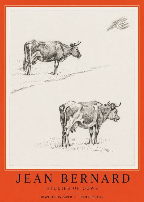 Jean Bernard Studies of Cows III No6 - Affiche