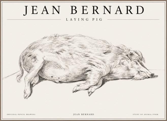 Jean Bernard Laying Pig No1 - Affiche