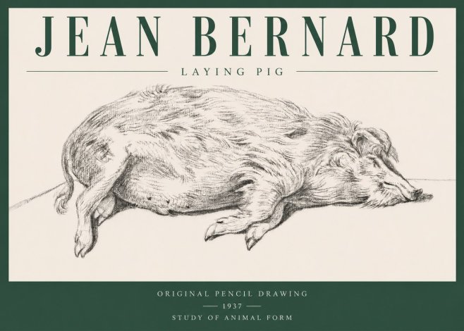 Jean Bernard Laying Pig No3 - Affiche