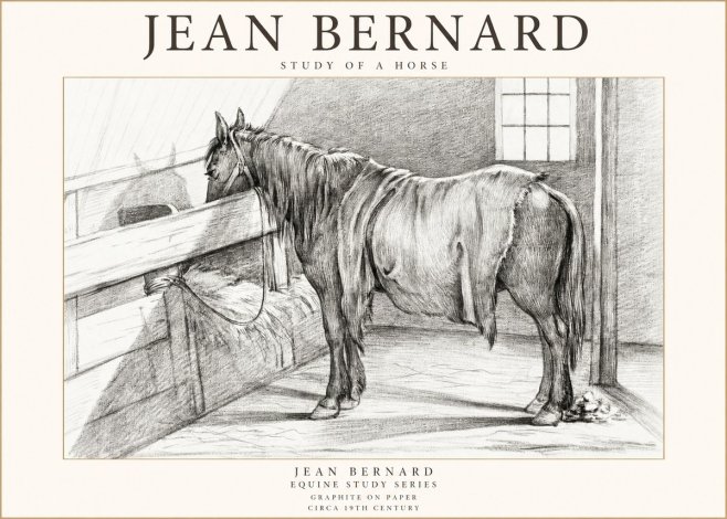 Jean Bernard Study of a Horse XIII No1 - Affiche
