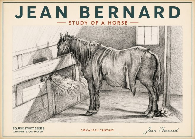 Jean Bernard Study of a Horse XIII No4 - Affiche