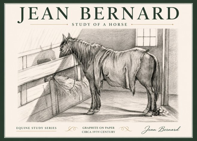 Jean Bernard Study of a Horse XIII No5 - Affiche