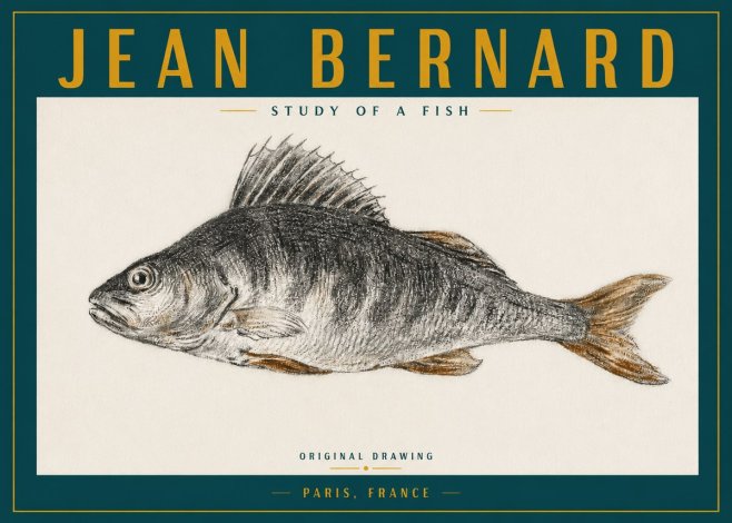 Jean Bernard Study of a Fish IV No3 - Affiche