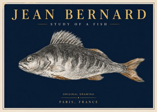 Jean Bernard Study of a Fish IV No6 - Affiche