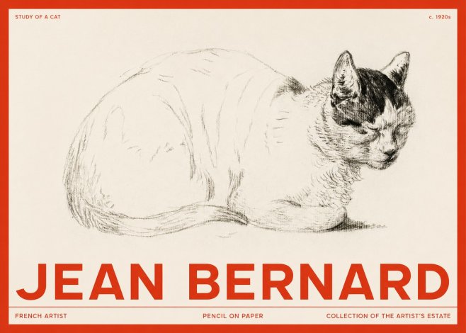 Jean Bernard Study of a Cat III No2 - Affiche
